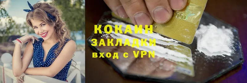 мега как войти  площадка Telegram  Cocaine Fish Scale  Нестеров 